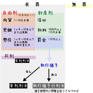 渋谷莉孔 格闘技 リアル刃牙 渋谷 失明を告白 引退へ News News ニュース