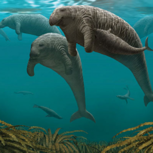 サンボマスター This Rss Feed Url Is Deprecatednews News ニュース